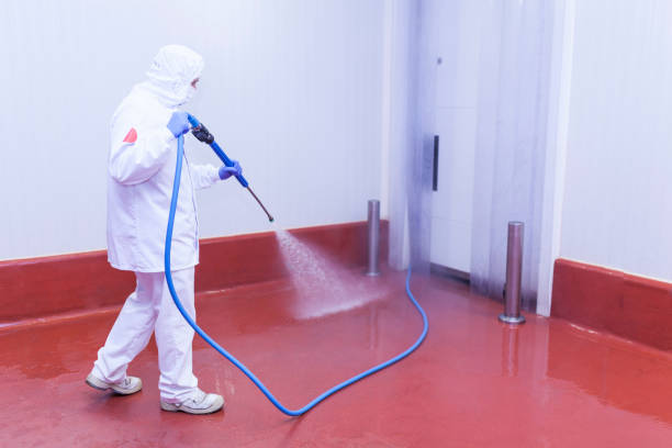 Best Driveway Pressure Washing  in The Villages, FL
