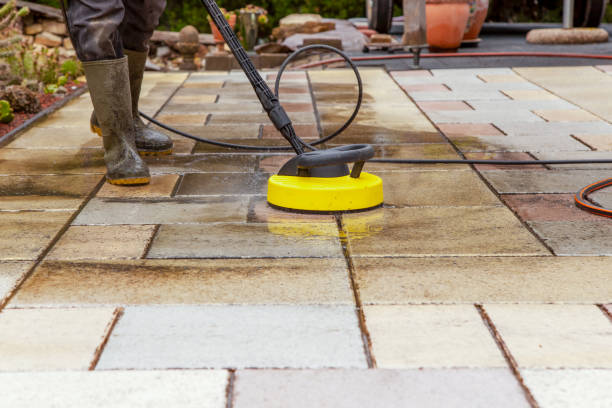 Best Solar Panel Cleaning  in The Villages, FL